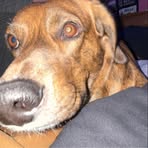 Profile Picture of Jamison Murray (@Jamison-Murray) on Facebook