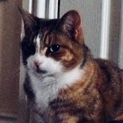 Profile Picture of Milo Jones (@milojones138) on Youtube