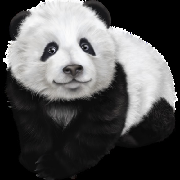 Profile Picture of Stephanie Grippando (@s_grippando) on Poshmark