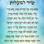 Profile Picture of David Sessa (@davidsessa) on Instagram