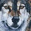 Profile Picture of wanna die (@adamsalcedo99160) on Tiktok