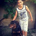 Profile Picture of nepergaća. nikola (@nepergaca.nikola) on Instagram