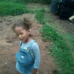 Profile Picture of marshall mayer (@mayermarshall) on Instagram