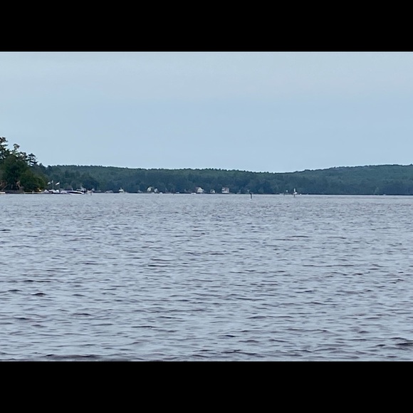 Profile Picture of Dina Detone (@ddetone) on Poshmark