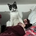 Profile Picture of Pablo Arguijo (@pablo.arguijo.467987) on Facebook