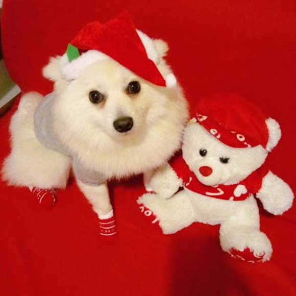 Profile Picture of Piva Piva (@piviko2017) on Poshmark