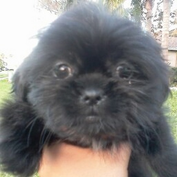 Profile Picture of Maria Cano (@prbabie1) on Poshmark