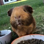 Profile Picture of Aidan_Fitzpatrick_. (@aidan_fitzpatrick._) on Instagram