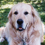 Profile Picture of Eric Bosma (@Ebosma1) on Flickr