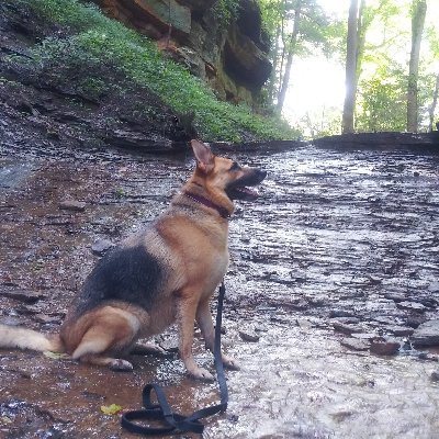 Profile Picture of Bryan Gallet (@bryan_gallet) on Twitter