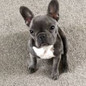 Profile Picture of Victor Meyer (@victormeyer4116) on Youtube