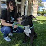 Profile Picture of Heather McFarland (@kupio_cadirao) on Instagram