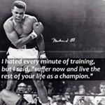 Profile Picture of Stephen Haupt (@stephenhaupt) on Instagram