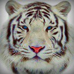 Profile Picture of Michael Dedeaux (@michael.dedeaux) on Instagram