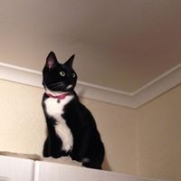 Profile Picture of Kevin Moir (@kevin-moir-4) on Quora