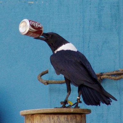 Profile Picture of Brandon J Wheaton (@BrandonJW1973) on Twitter