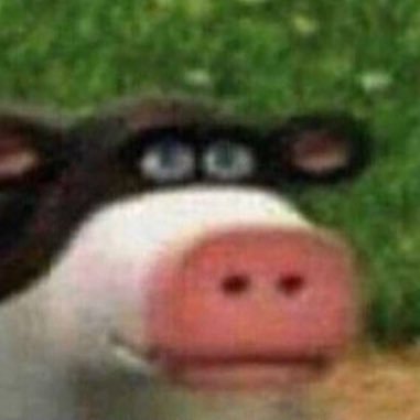 Aug - Twitter Profile Picture of Aug (@Gus_Lund) on Twitter