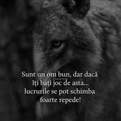 Profile Picture of Robert Ady (@robertady) on Tiktok