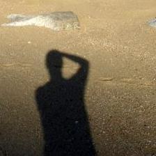 Profile Picture of Richard Nichol (@CodgeJr) on Twitter