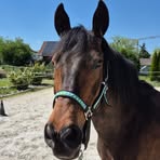 Profile Picture of Julia Wieser (@Julia-Wieser) on Facebook