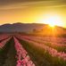 Profile Picture of Sawer Simon (@sawer.simon.902) on Facebook