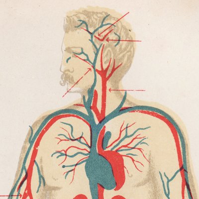Profile Picture of Jonathan Schultz (@jdgschultz) on Twitter
