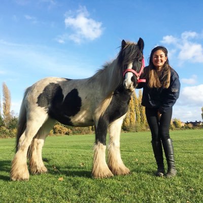 Profile Picture of JoJo Julian (@JoJoJulianx) on Twitter