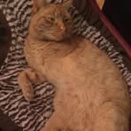 Profile Picture of Boris Hayes (@Boris-Hayes) on Facebook