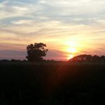 Profile Picture of andrea pieri (@a_pieri) on Instagram