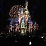 Profile Picture of Brad (@destined_for_disney) on Instagram