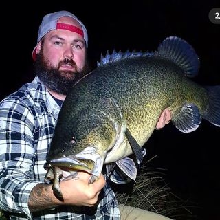 Profile Picture of Steven Mcphee (@mcpheetattoo) on Instagram