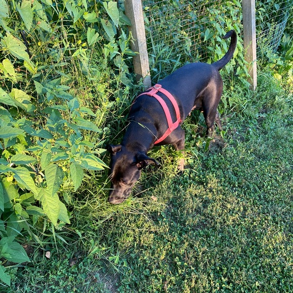 Profile Picture of Cody Rivers (@codyrivers601) on Poshmark