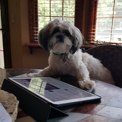 Profile Picture of Kevin A. Mikesell (@eddoc88) on Twitter