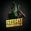 Profile Picture of Avi Singh (@@avi.singh37) on Tiktok