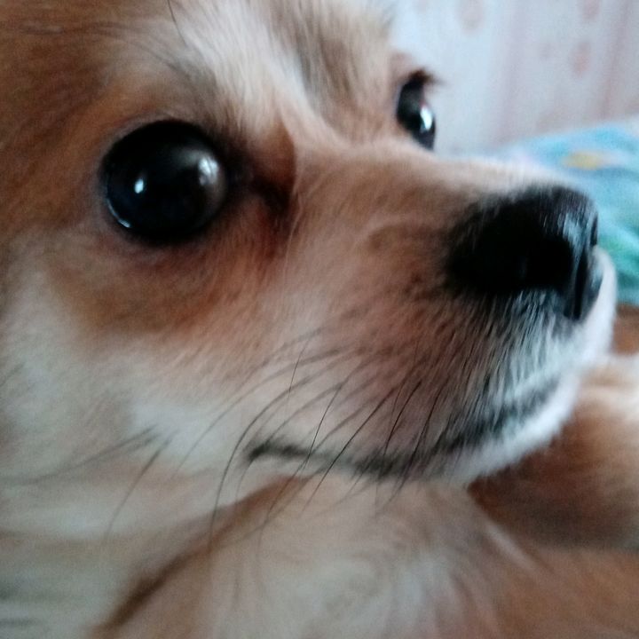 Profile Picture of Tima. Feat Tobi (@timapes) on Tiktok