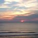 Profile Picture of Pam McCalvin (@pamelamccalvin) on Pinterest