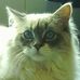 Profile Picture of Janet Sedgley (@janet.sedgley.9) on Facebook