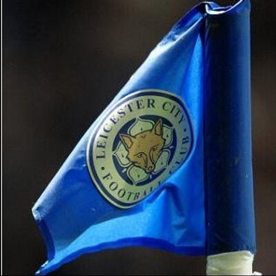Profile Picture of Michael Crick (@blue_fox78) on Twitter