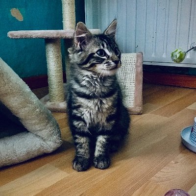 Profile Picture of Sam Ziegler (@SamZiegler11) on Twitter