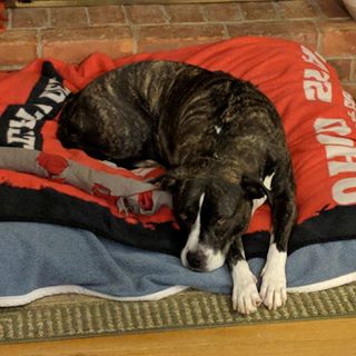 Profile Picture of Jon Gerringer (@jon.gerringer.3) on Facebook