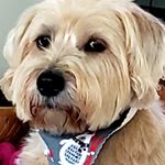 Profile Picture of Kim Kopaczeski (@kopaczeski) on Instagram