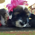 Profile Picture of Nathan Dumlao (@jonathan_dumlao) on Instagram