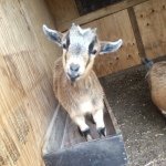 Profile Picture of Andy Albritten (@___farmer___) on Instagram