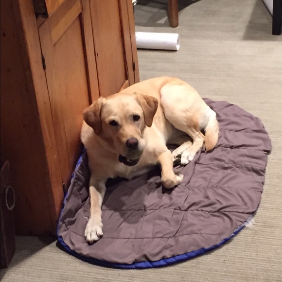 Profile Picture of Henry Burchenal (@hburchenal) on Poshmark