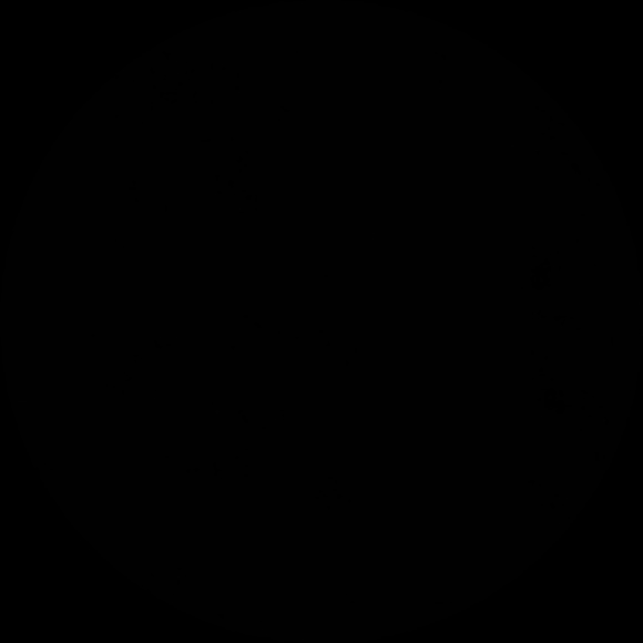 Profile Picture of Hailey Vollaro (@haileyv925) on Poshmark