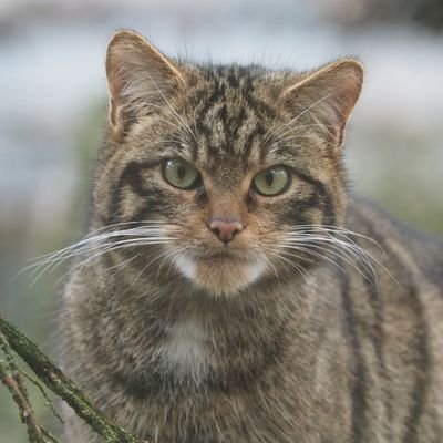 Profile Picture of Simon Dunn (@simon43045) on Twitter