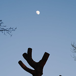 Profile Picture of Petar Mitev (@sacredsoul6) on Flickr