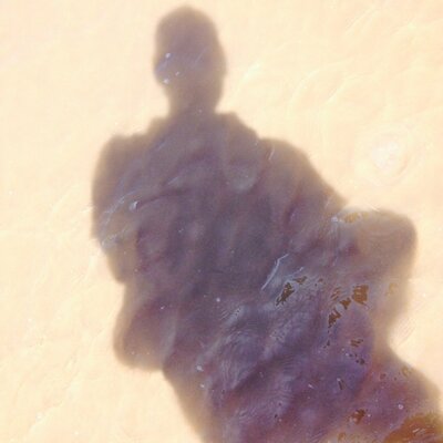 Profile Picture of Peter Laws (@peterlaws2) on Twitter