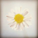 Profile Picture of Jany Hernandez (@janymuchajany) on Instagram