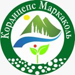 Profile Picture of Чистый Кордицепс Маркаколь (@cordyceps_markakol) on Instagram